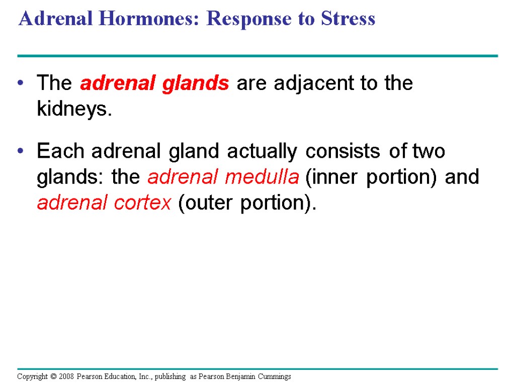 Adrenal Hormones: Response to Stress The adrenal glands are adjacent to the kidneys. Each
